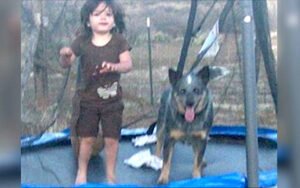 Total Panic After 3-Year-Old Vanishes - Then They Find Her In Frozen Creek Bed With...
