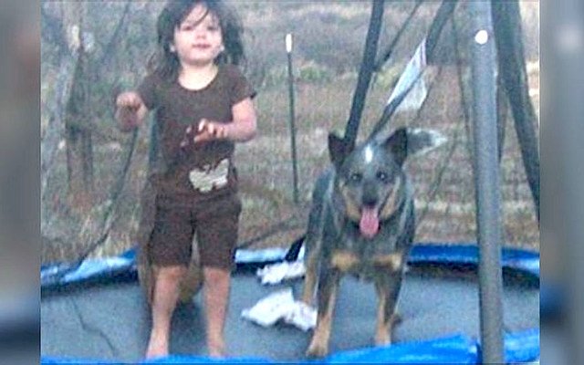 Total Panic After 3-Year-Old Vanishes - Then They Find Her In Frozen Creek Bed With...