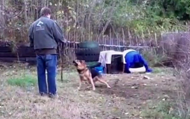 Man Shocked By What Happens After Unchaining Dog (Video)