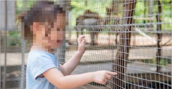 Mom Abandons 5-Year-Old Daughter At Zoo. Then Witnesses See Who She Has In The Backseat