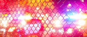 Police Charge 11-Year-Old Boy After Massive Search (Photo)