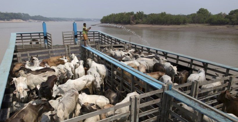 U.S. Bans Fresh Brazil Beef Imports Over Safety Concern