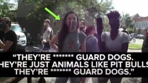 Cop Files Ethics Complaint Against Councilwoman For Allegedly 'Inciting' Protesters
