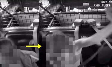 Protester Claims Cops Strip Searched Her, Police Release Dashcam Video In Response