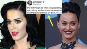 Katy Perry Sparks Outrage Over Tweet About Political Disagreement