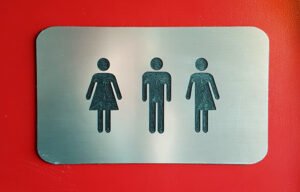 wp-img-34803704824_7df65f04e7_b