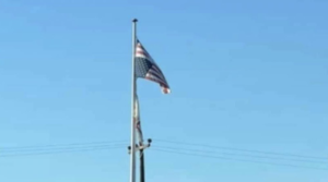 wp-img-Screenshot-2024-11-17-at-9.03.36-PM